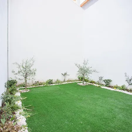 Liiiving In - Sweet Sunlight Terrace